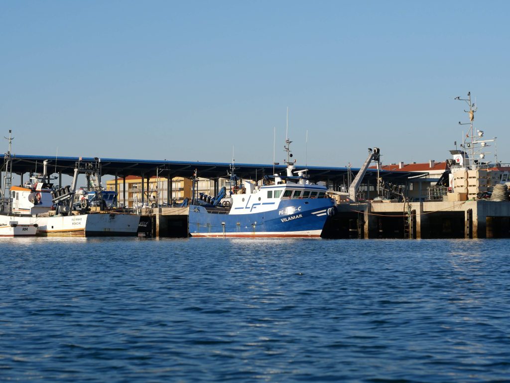 Embarcação de Pesca “Vilamar” — 12m — foto 10
