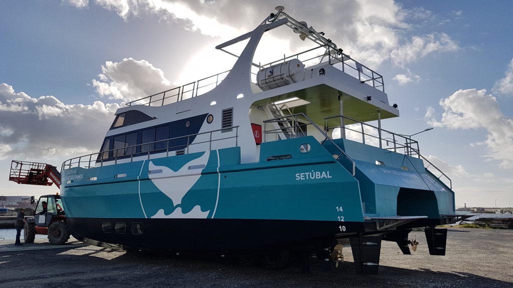 Catamarã Elétrico “Baía dos Golfinhos” — 16m
