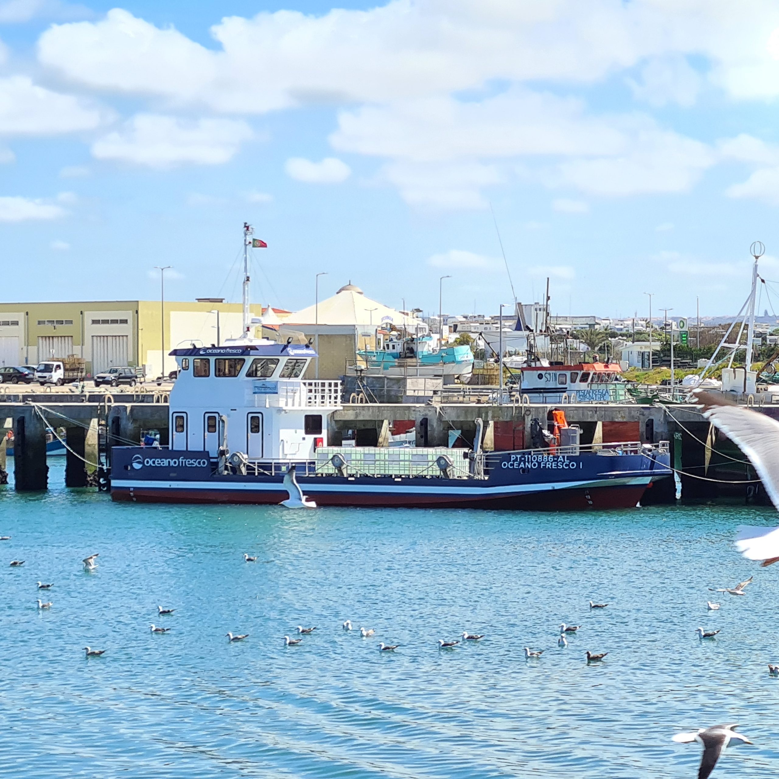 Embarcação de Aquacultura “Oceano Fresco” — 22m