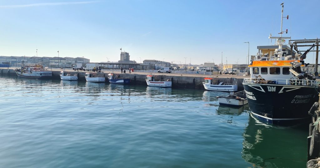 Bateau de Pêche Locale — 7,25m — foto 4